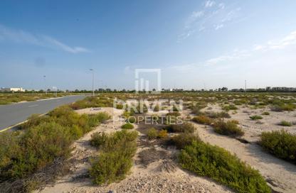 Land - Studio for sale in Saih Shuiab House - Jebel Ali Hills - Saih Shuaib 1 - Jebel Ali - Dubai Land - Studio for sale in Saih Shuiab House - Jebel Ali Hills - Saih Shuaib 1 - Jebel Ali - Dubai
