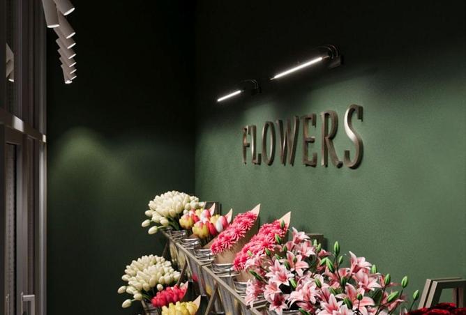 70671147 - Property Image 3