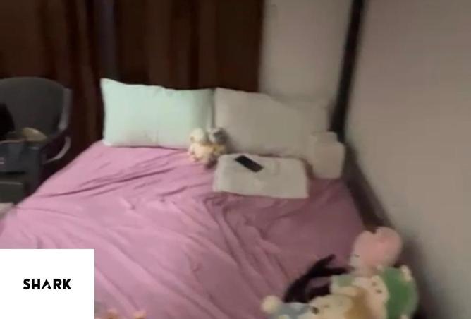 62496892 - Property Image 3