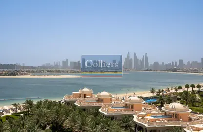 محل - استوديو - 1 حمام للايجار في رافليز ذا بالم - ذا كريسنت - نخلة جميرا - دبي