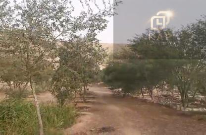 Farm - Studio for rent in Seih Al Bana - Ras Al Khaimah