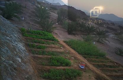 Farm - Studio for rent in Seih Al Bana - Ras Al Khaimah