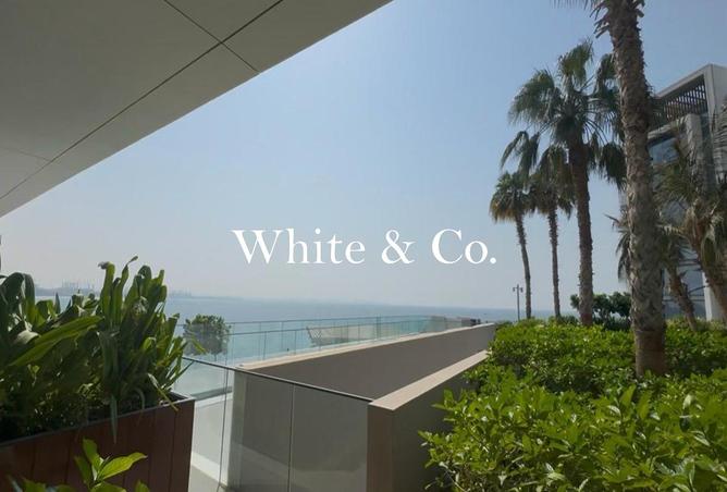 62456504 - Property Main Image