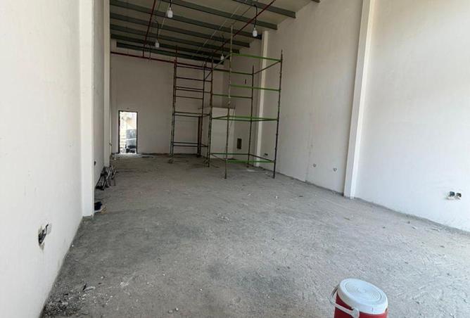 113281871 - Property Image 3