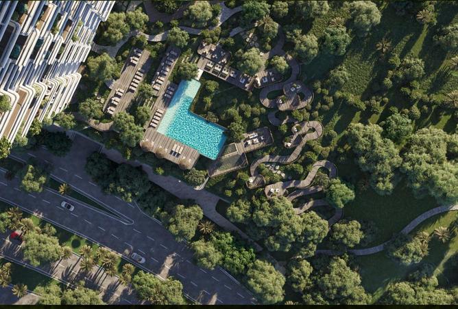 16218281 - Property Image 3