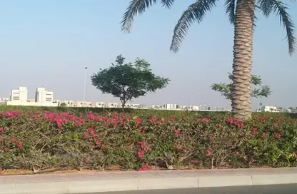 Land - Studio for sale in Jebel Ali Hills - Jebel Ali - Dubai