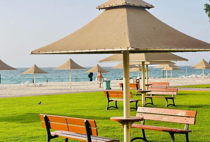 16331716 - صورة العقار 3