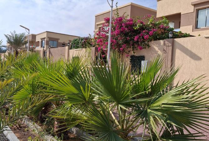 16234896 - صورة العقار 2