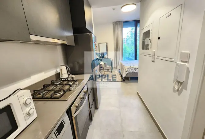 146883259 - Property Image 3