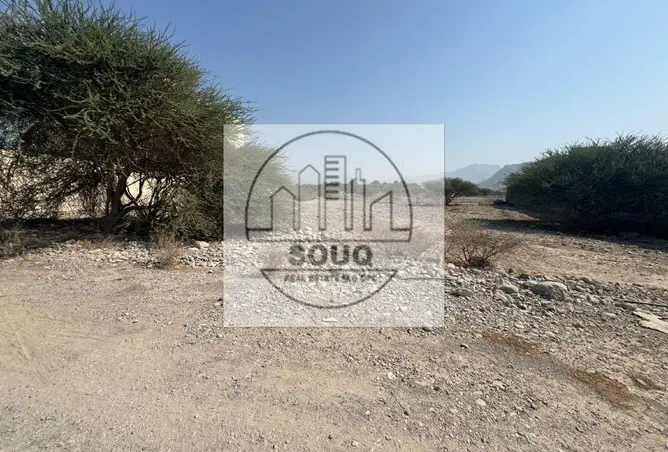 162776143 - Property Image 3