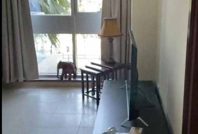 64404870 - Property Image 3