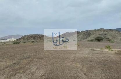 Farm - Studio for rent in Aya Beachfront Residences - Al Raudah - Umm Al Quwain