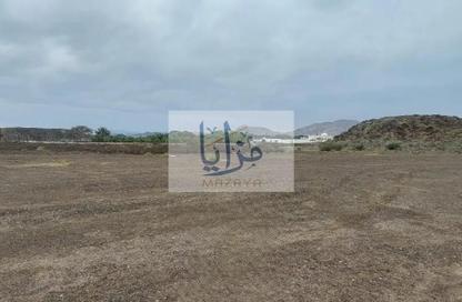 Farm - Studio for rent in Aya Beachfront Residences - Al Raudah - Umm Al Quwain