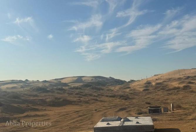 55739026 - Property Image 3