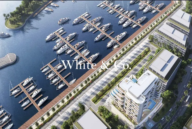 166994172 - Property Image 3