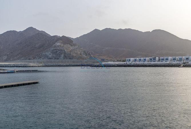 98241195 - صورة العقار 2