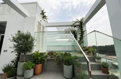 Villa - 4 Bedrooms - 5 Bathrooms for rent in Ixora - Al Barari - Dubai