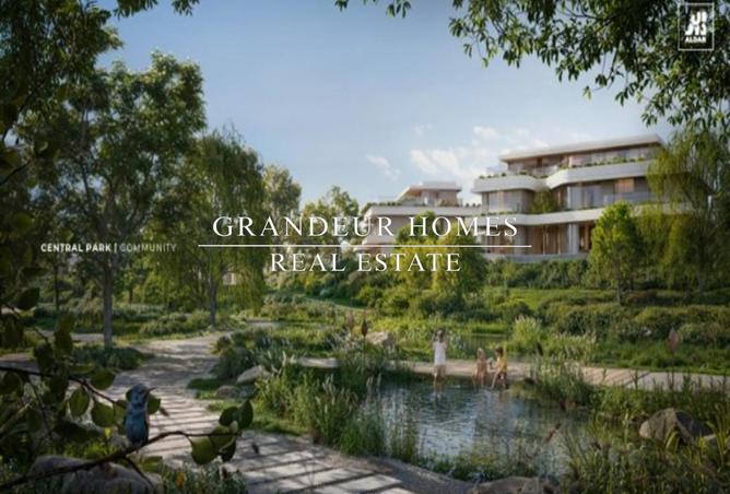 56531156 - Property Image 3