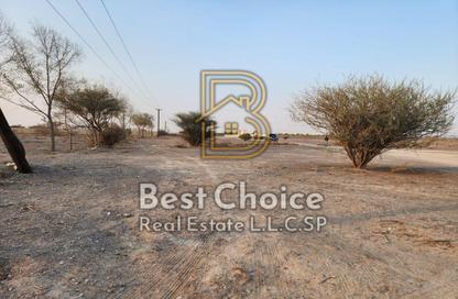 Land - Studio for sale in Al Belidah - Al Bataeh - Sharjah