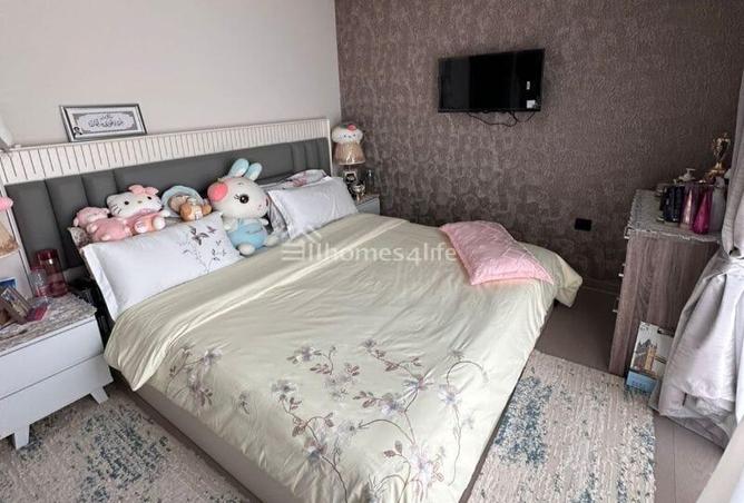 16239785 - Property Image 3