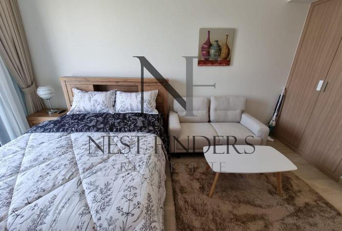 113271725 - Property Image 2