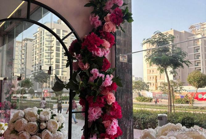 85336020 - صورة العقار 3