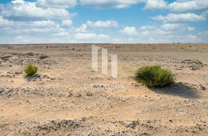Land - Studio for sale in Saadiyat Reserve - Saadiyat Island - Abu Dhabi