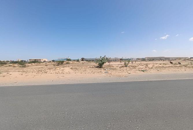 80675834 - صورة العقار 3