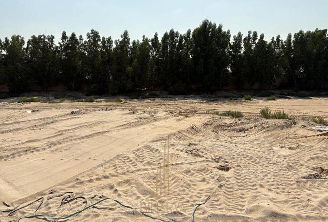 16321550 - Property Image 2