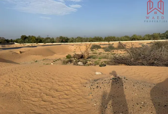 74620091 - صورة العقار 3