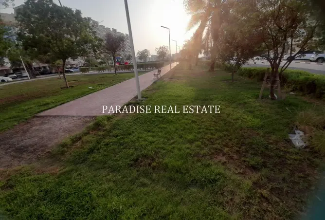 167005995 - Property Image 2