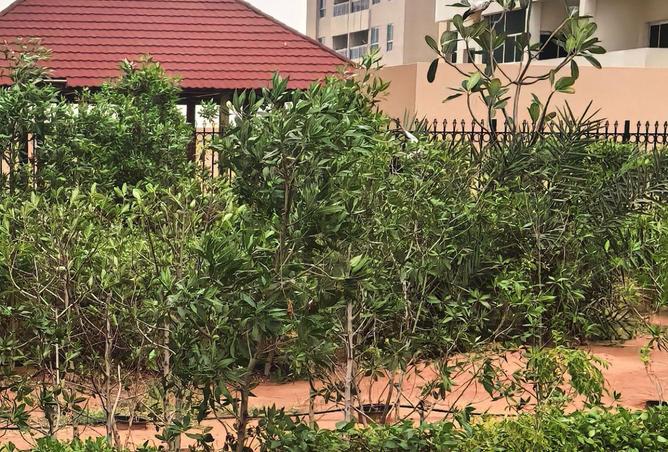 69093065 - Property Image 2