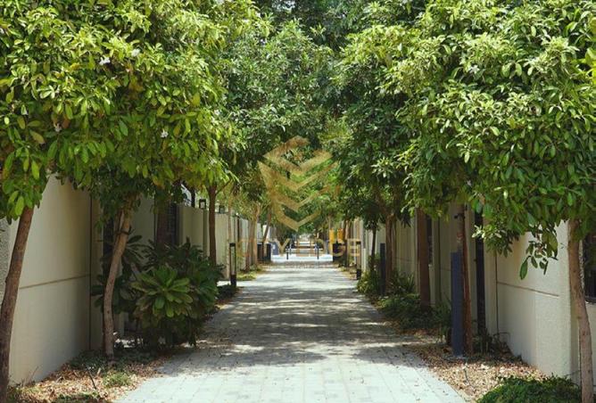 123362154 - Property Image 3