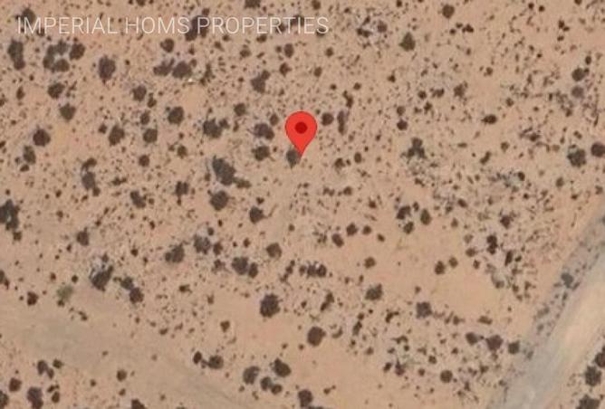 16226165 - Property Image 3