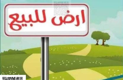 Land - Studio for sale in Al Jurf 3 - Al Jurf - Ajman Downtown - Ajman