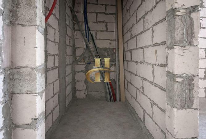 16263145 - Property Image 3