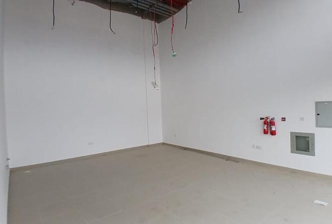 78205361 - Property Image 3