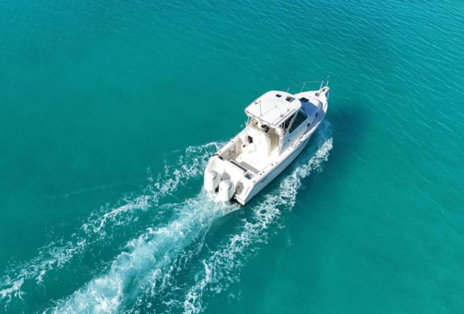 63667782 - Property Image 3