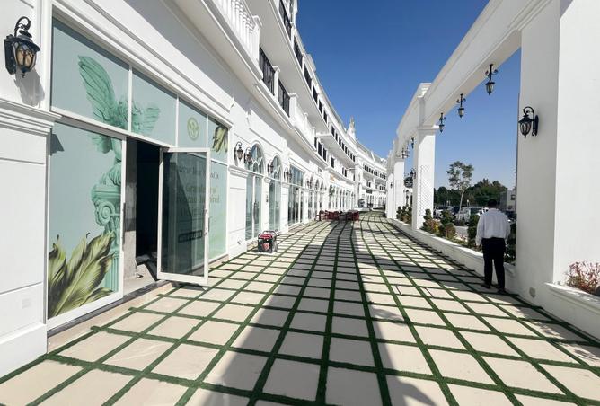 16159894 - Property Image 3