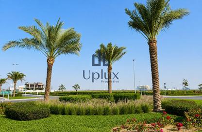 Land - Studio for sale in Saih Shuiab House - Jebel Ali Hills - Saih Shuaib 1 - Jebel Ali - Dubai