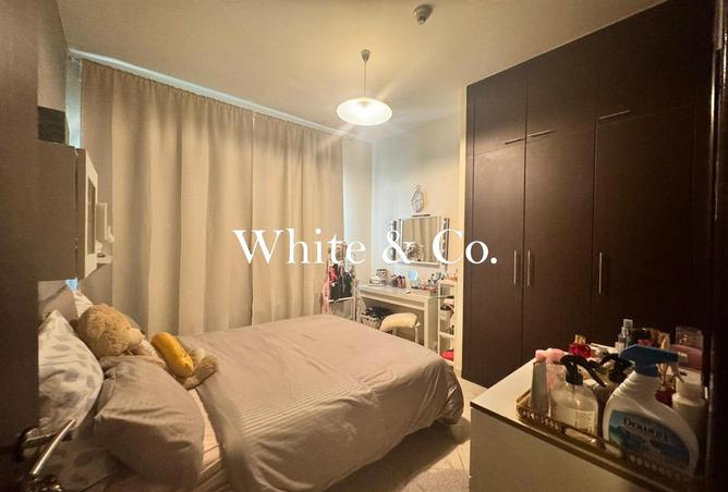 16098592 - Property Image 3