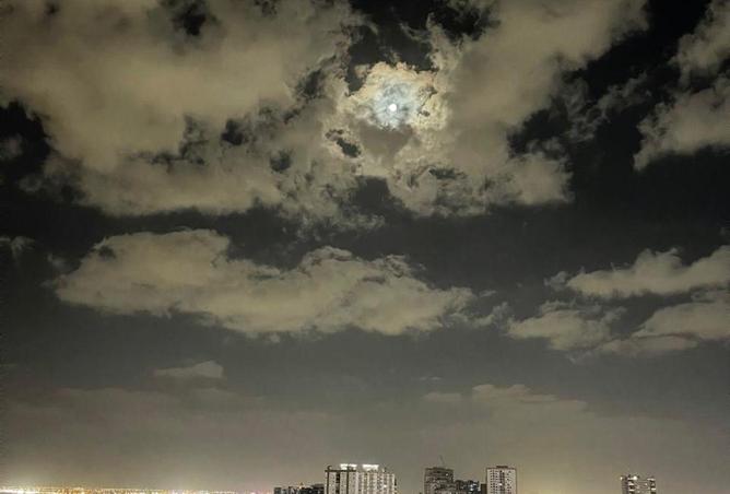 88334742 - صورة العقار 2