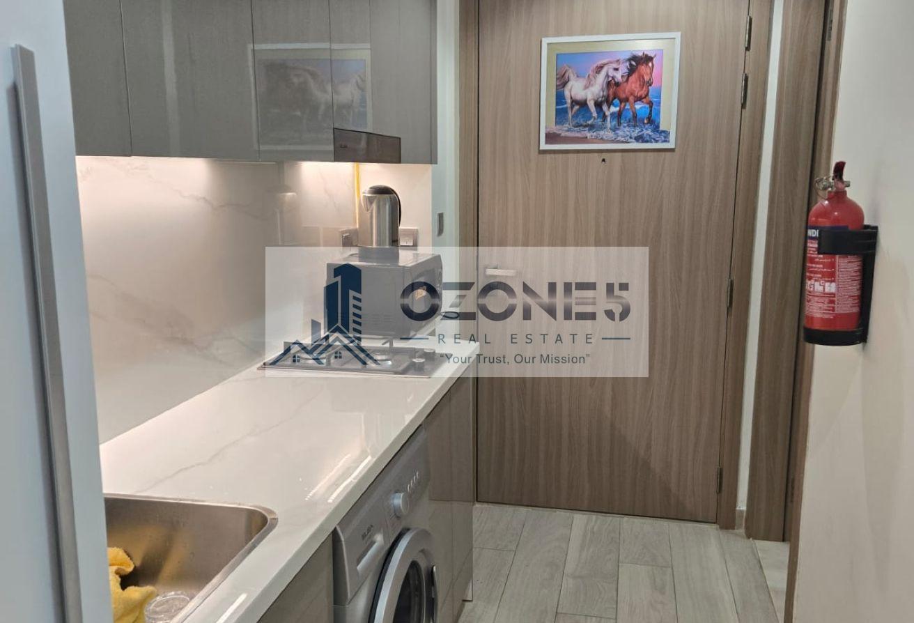 Fully Furnished, Pool View, Chiller Free photo 7