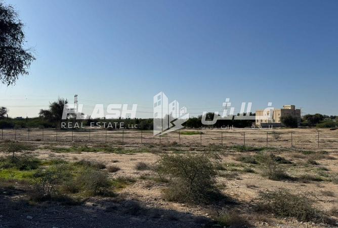 16335641 - Property Image 3