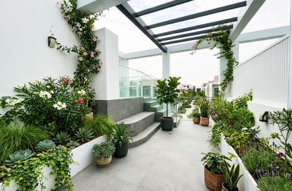Townhouse - 4 Bedrooms - 5 Bathrooms for rent in Ixora - Al Barari - Dubai