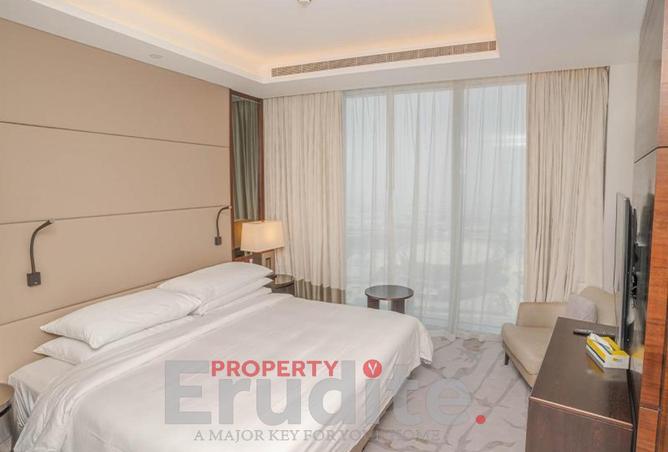 16133299 - Property Image 3