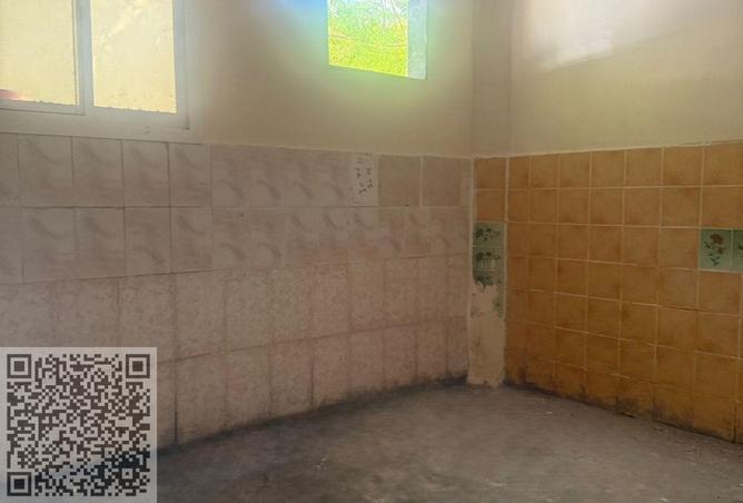 53586743 - صورة العقار 3