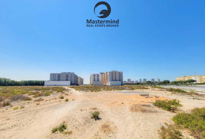 16035521 - Property Image 3