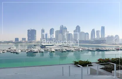 شقة - غرفة نوم - 1 حمام للبيع في قصر الشاطئ - إعمار بيتشفرونت - دبي هاربور - دبي