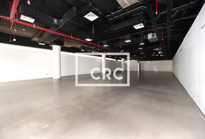 161404293 - Property Image 3